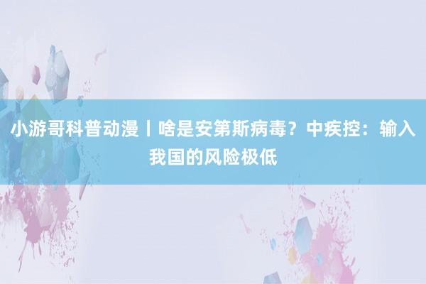 小游哥科普动漫丨啥是安第斯病毒？中疾控：输入我国的风险极低
