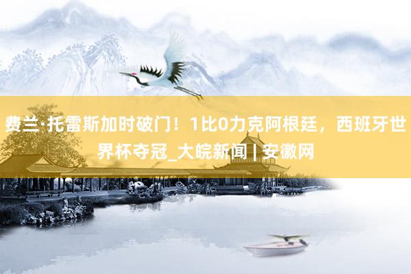 费兰·托雷斯加时破门！1比0力克阿根廷，西班牙世界杯夺冠_大皖新闻 | 安徽网