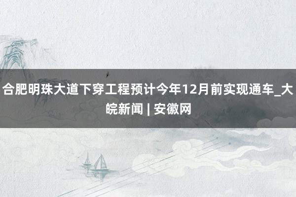 合肥明珠大道下穿工程预计今年12月前实现通车_大皖新闻 | 安徽网