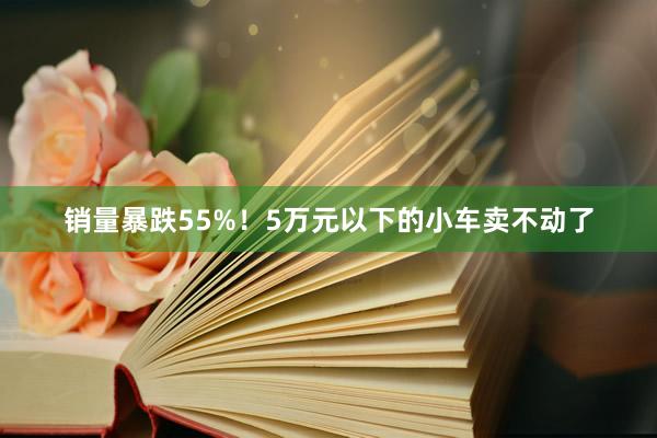 销量暴跌55%！5万元以下的小车卖不动了