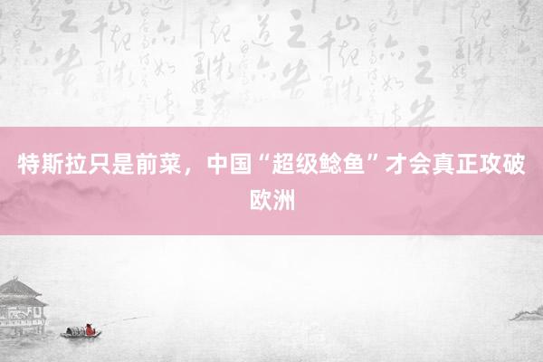 特斯拉只是前菜，中国“超级鲶鱼”才会真正攻破欧洲