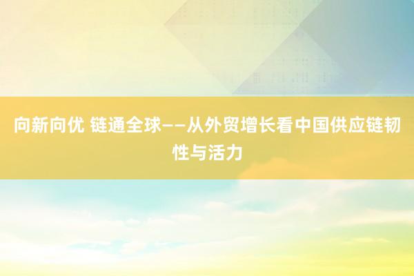 向新向优 链通全球——从外贸增长看中国供应链韧性与活力