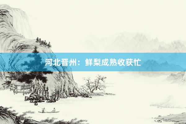 河北晋州：鲜梨成熟收获忙