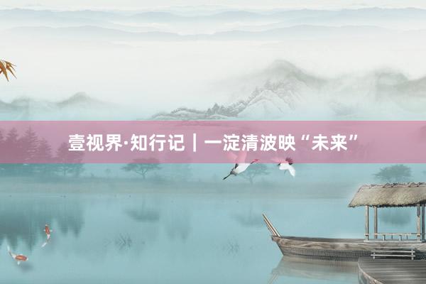 壹视界·知行记｜一淀清波映“未来”