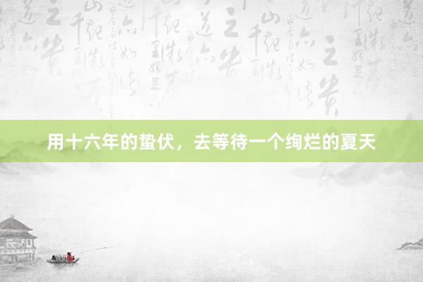 用十六年的蛰伏，去等待一个绚烂的夏天