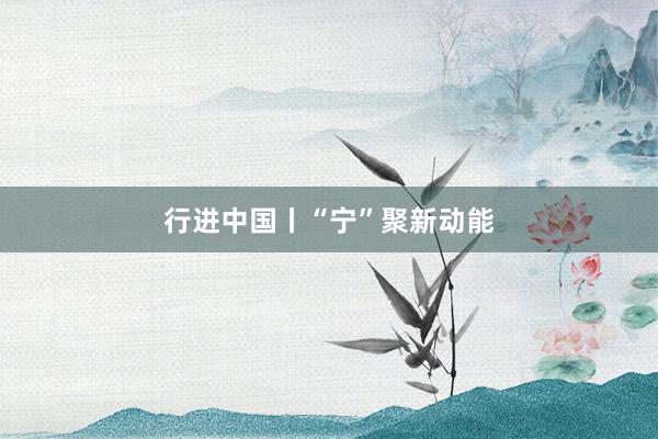 行进中国丨“宁”聚新动能