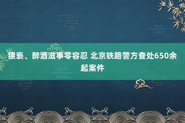 猥亵、醉酒滋事零容忍 北京铁路警方查处650余起案件