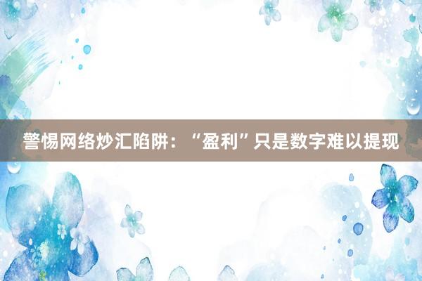 警惕网络炒汇陷阱：“盈利”只是数字难以提现
