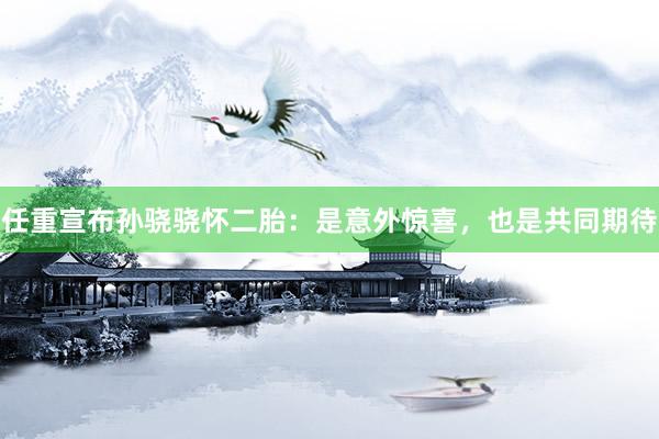 任重宣布孙骁骁怀二胎：是意外惊喜，也是共同期待