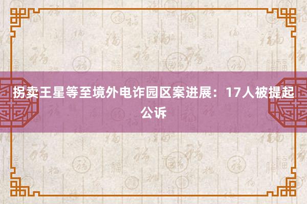 拐卖王星等至境外电诈园区案进展：17人被提起公诉