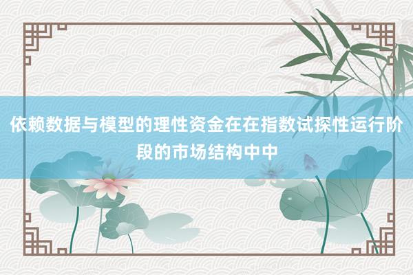 依赖数据与模型的理性资金在在指数试探性运行阶段的市场结构中中