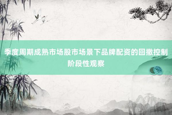 季度周期成熟市场股市场景下品牌配资的回撤控制阶段性观察