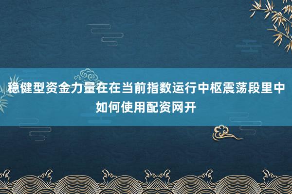 稳健型资金力量在在当前指数运行中枢震荡段里中如何使用配资网开