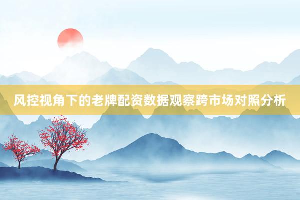风控视角下的老牌配资数据观察跨市场对照分析