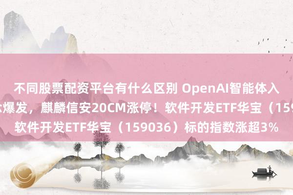 不同股票配资平台有什么区别 OpenAI智能体入侵系统？网络安全概念爆发，麒麟信安20CM涨停！软件开发ETF华宝（159036）标的指数涨超3%